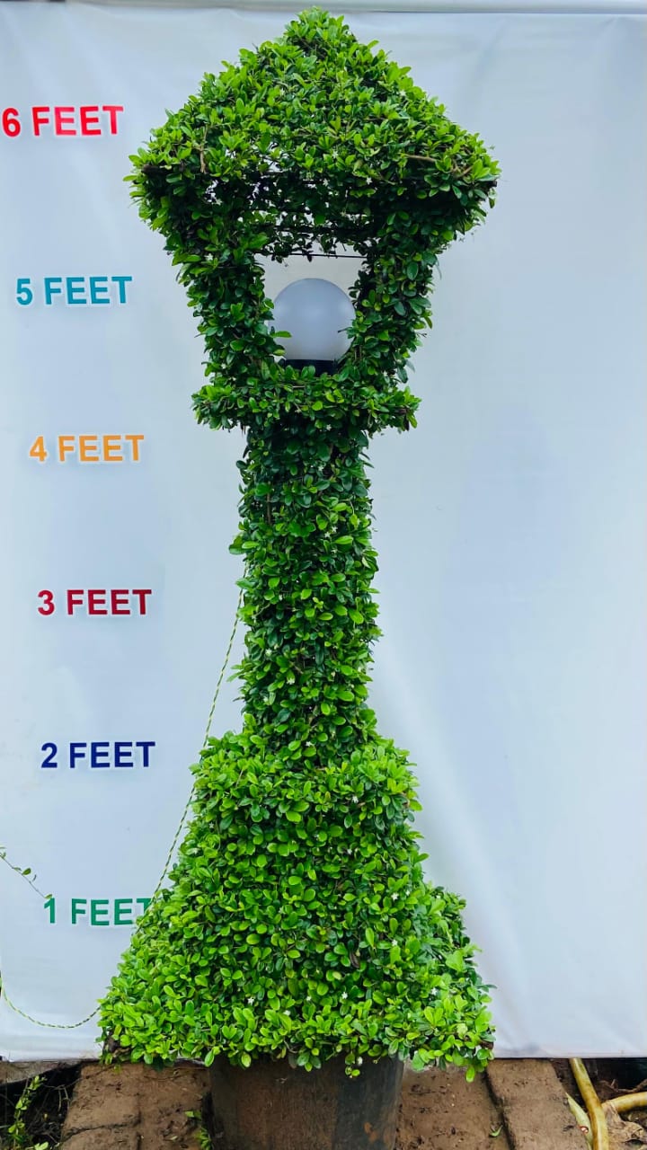 Malphigia Custom Light Tower Shape